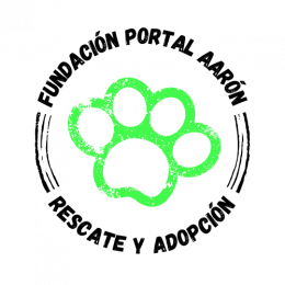 Fundación Portal Aarón